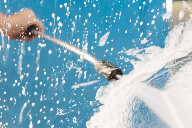 Animal Enclosure Cleaning in Georgetown, TX